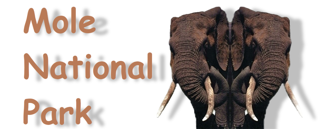 Mole national Park, Upper West, Ghana